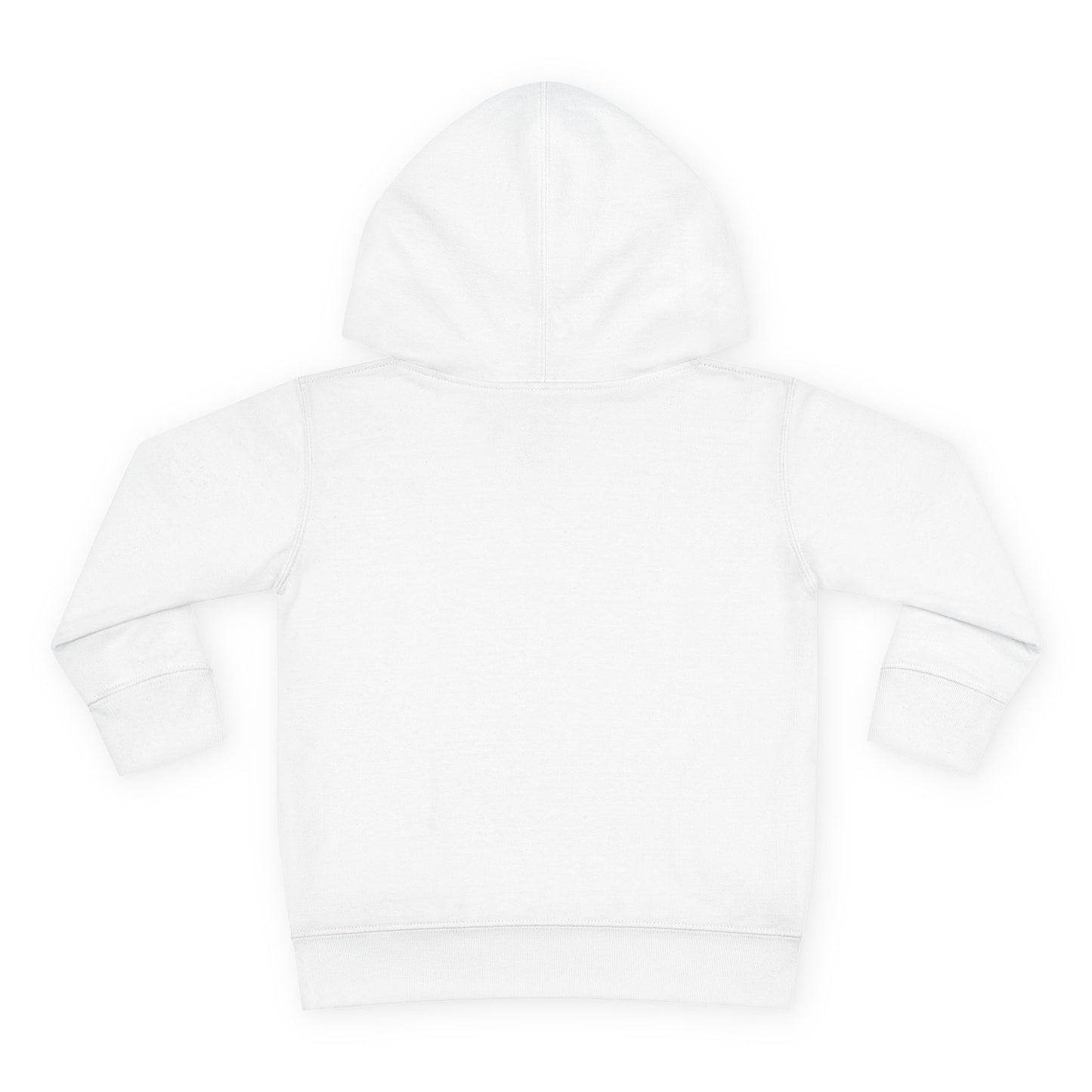 Toddler Hoodie — "The Best Future Is the One We Choose to Create Together" Multicultural Kids Pullover